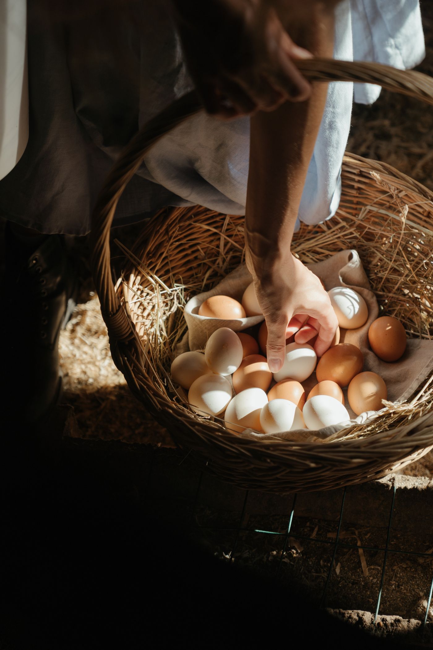 A basket of fresh farm eggs