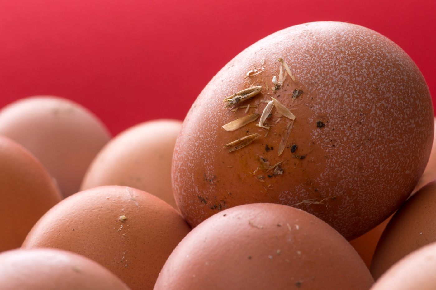 Brown eggs on a red cloth