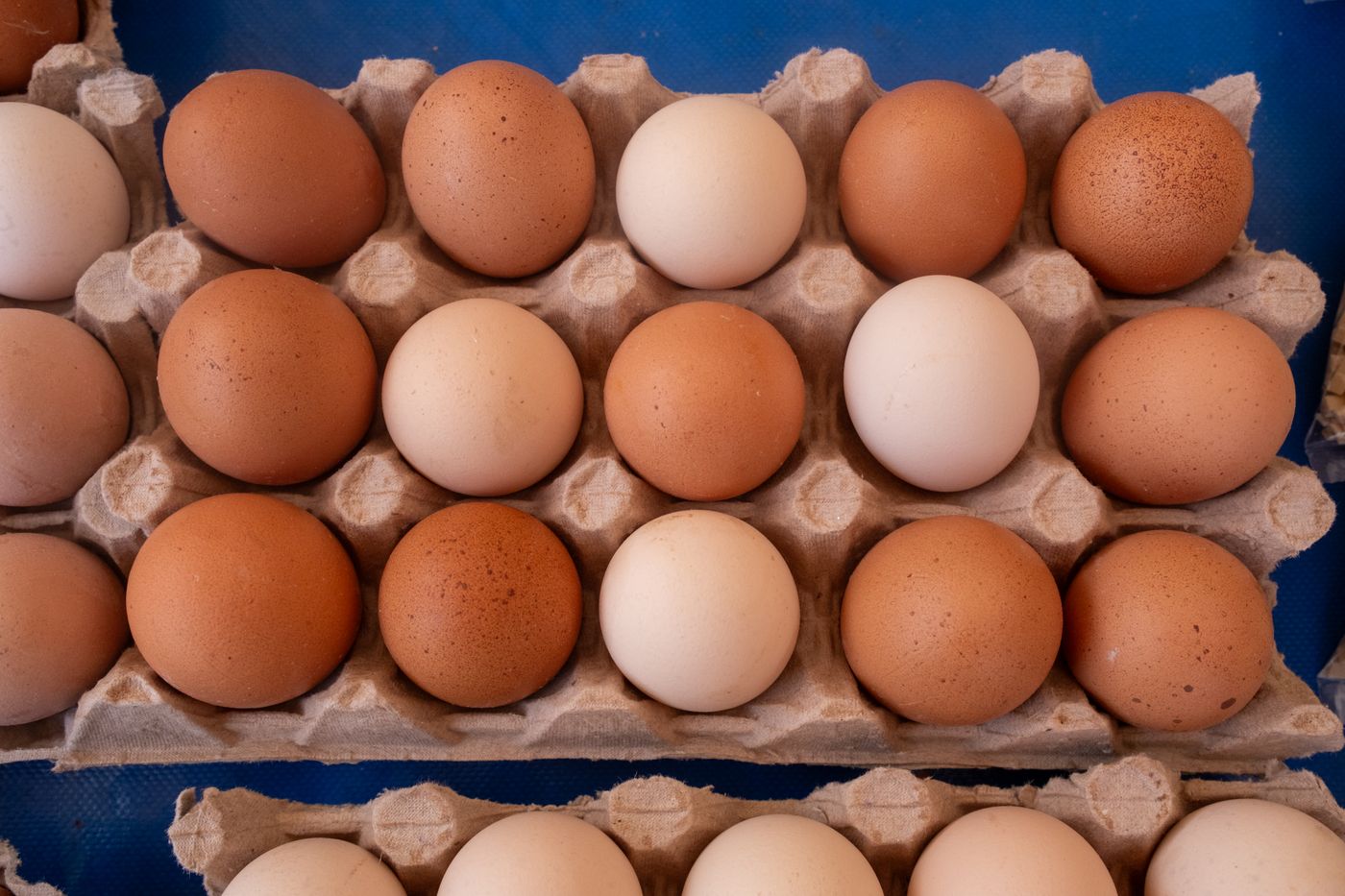 Egg cartons stacked and ready for delivery to shops