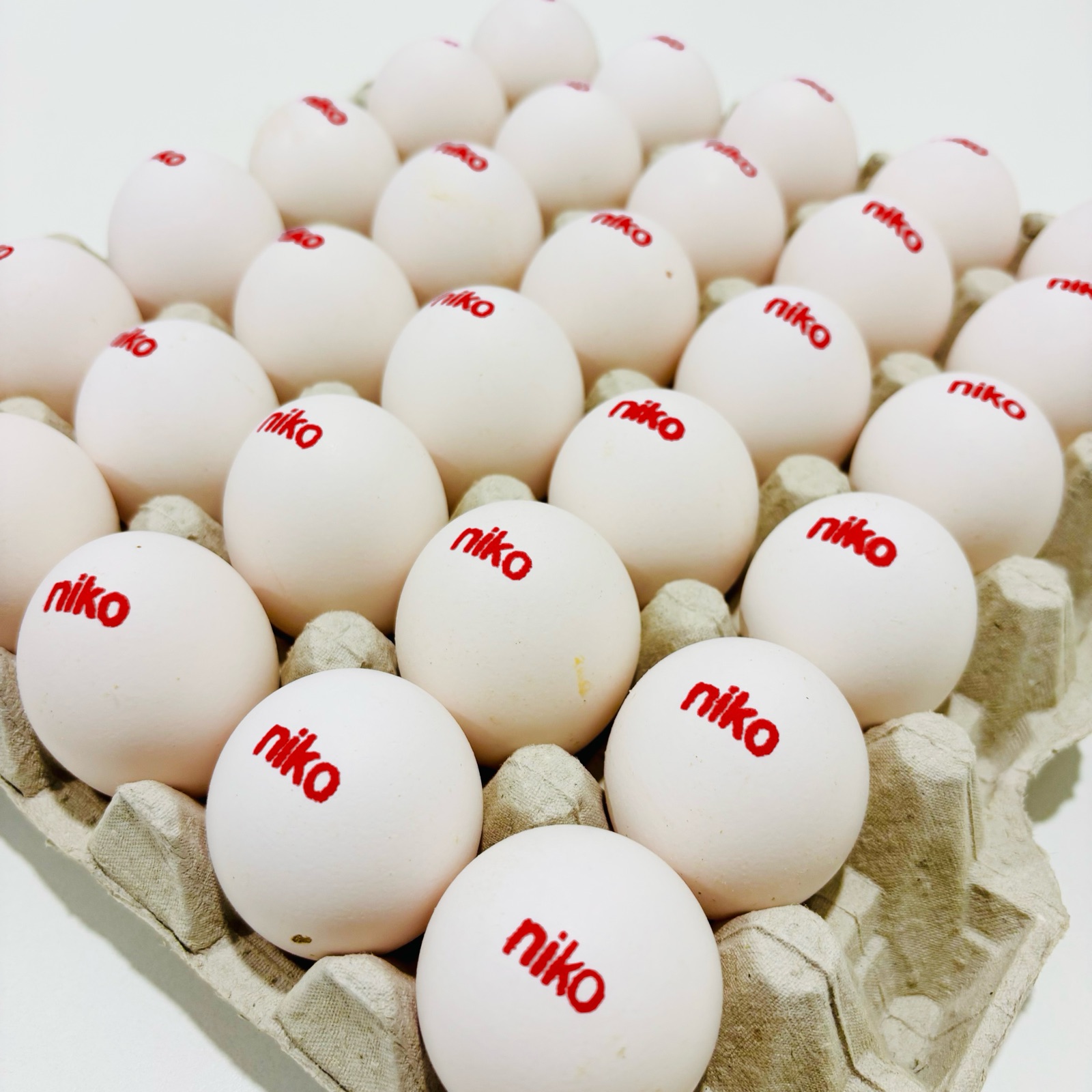 A tray of white NIKO eggs, each printed with the NIKO name in red